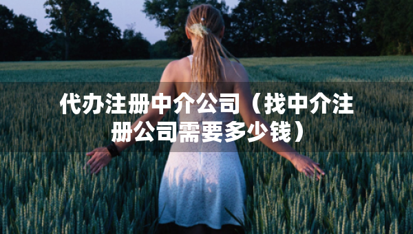 代辦注冊(cè)中介公司（找中介注冊(cè)公司需要多少錢(qián)）