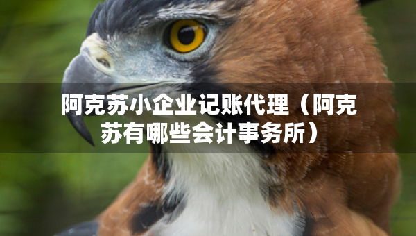 阿克蘇小企業(yè)記賬代理（阿克蘇有哪些會(huì)計(jì)事務(wù)所）
