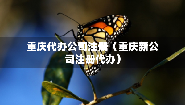 重慶代辦公司注冊(cè)（重慶新公司注冊(cè)代辦）