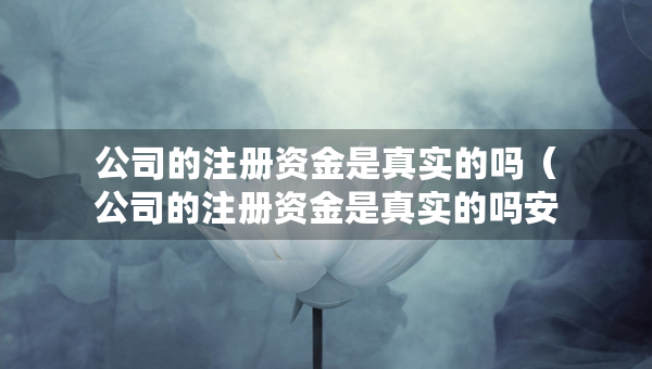 公司的注冊資金是真實(shí)的嗎（公司的注冊資金是真實(shí)的嗎安全嗎）