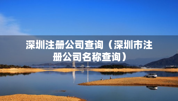 深圳注冊(cè)公司查詢（深圳市注冊(cè)公司名稱查詢）