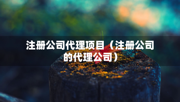 注冊公司代理項目（注冊公司的代理公司）