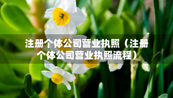 注冊(cè)個(gè)體公司營(yíng)業(yè)執(zhí)照（注冊(cè)個(gè)體公司營(yíng)業(yè)執(zhí)照流程）