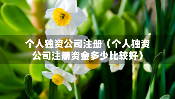 個人獨資公司注冊（個人獨資公司注冊資金多少比較好）