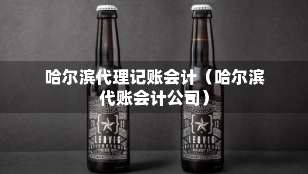 哈爾濱代理記賬會(huì)計(jì)（哈爾濱代賬會(huì)計(jì)公司）