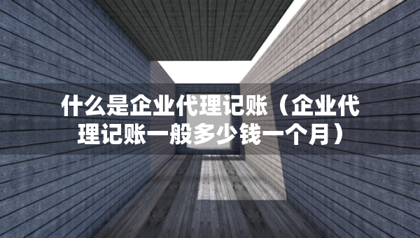 什么是企業(yè)代理記賬（企業(yè)代理記賬一般多少錢一個(gè)月）