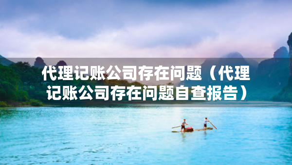 代理記賬公司存在問題（代理記賬公司存在問題自查報(bào)告）