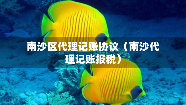 南沙區(qū)代理記賬協(xié)議（南沙代理記賬報稅）