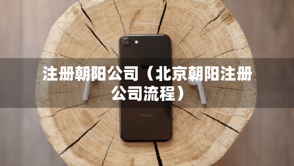 注冊朝陽公司（北京朝陽注冊公司流程）