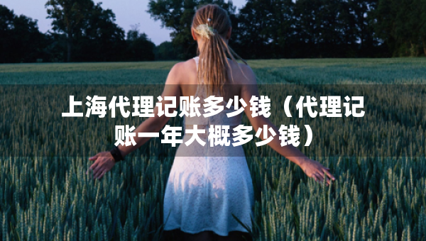 上海代理記賬多少錢（代理記賬一年大概多少錢）