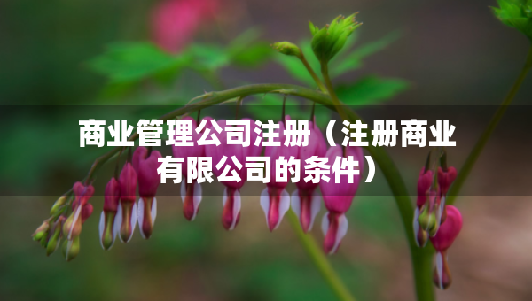 商業(yè)管理公司注冊(cè)（注冊(cè)商業(yè)有限公司的條件）
