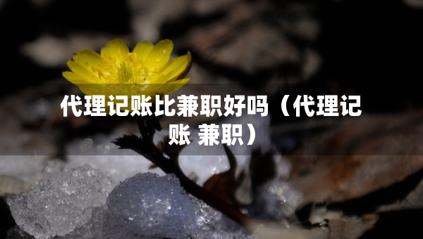 代理記賬比兼職好嗎（代理記賬 兼職）