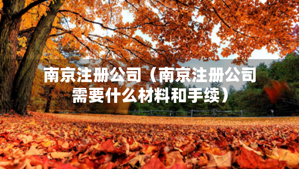 南京注冊公司（南京注冊公司需要什么材料和手續(xù)）