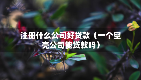注冊什么公司好貸款（一個空殼公司能貸款嗎）