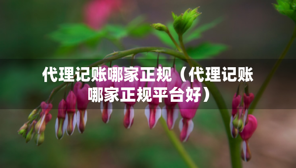 代理記賬哪家正規(guī)（代理記賬哪家正規(guī)平臺(tái)好）