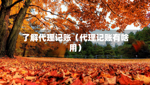 了解代理記賬（代理記賬有啥用）
