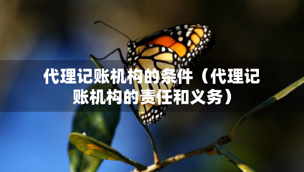 代理記賬機(jī)構(gòu)的條件（代理記賬機(jī)構(gòu)的責(zé)任和義務(wù)）
