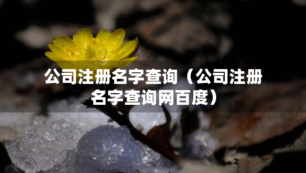 公司注冊(cè)名字查詢（公司注冊(cè)名字查詢網(wǎng)百度）