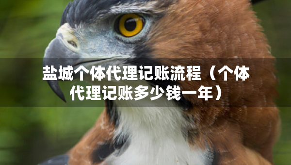 鹽城個體代理記賬流程（個體代理記賬多少錢一年）