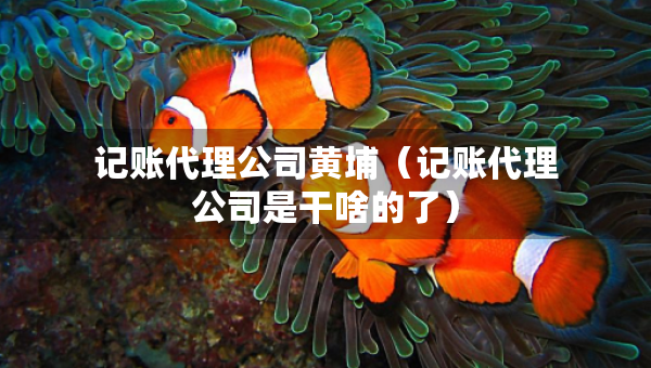 記賬代理公司黃埔（記賬代理公司是干啥的了）