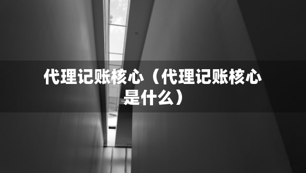 代理記賬核心（代理記賬核心是什么）
