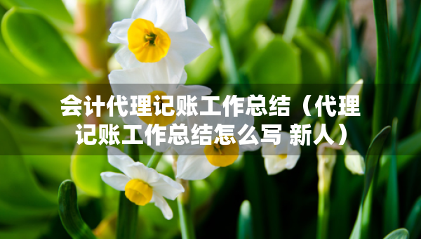 會(huì)計(jì)代理記賬工作總結(jié)（代理記賬工作總結(jié)怎么寫(xiě) 新人）