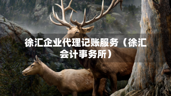 徐匯企業(yè)代理記賬服務（徐匯會計事務所）