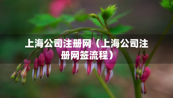 上海公司注冊網(wǎng)（上海公司注冊網(wǎng)簽流程）