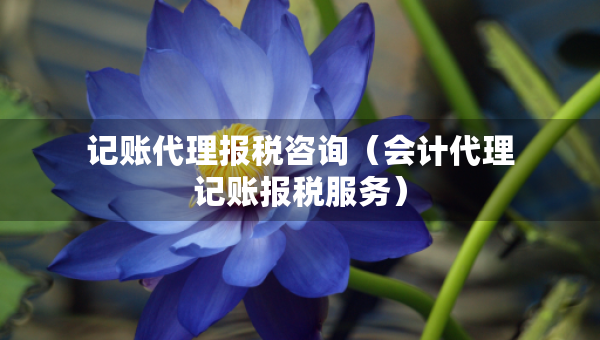 記賬代理報稅咨詢（會計代理記賬報稅服務）