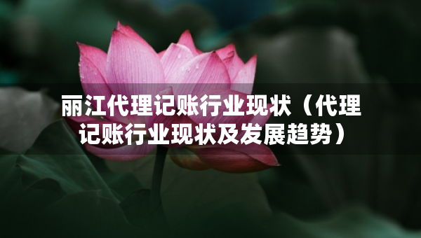 麗江代理記賬行業(yè)現(xiàn)狀（代理記賬行業(yè)現(xiàn)狀及發(fā)展趨勢(shì)）