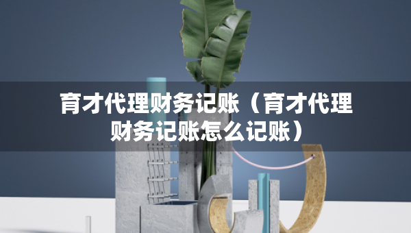 育才代理財務記賬（育才代理財務記賬怎么記賬）