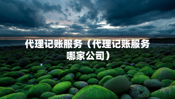 代理記賬服務(wù)（代理記賬服務(wù)哪家公司）