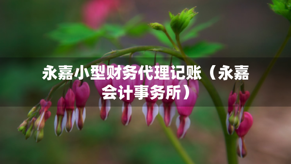 永嘉小型財務代理記賬（永嘉會計事務所）