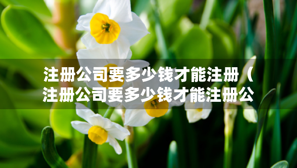 注冊公司要多少錢才能注冊（注冊公司要多少錢才能注冊公司）