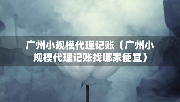 廣州小規(guī)模代理記賬（廣州小規(guī)模代理記賬找哪家便宜）