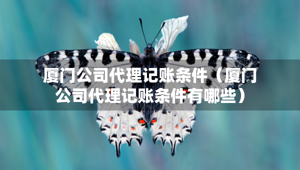 廈門公司代理記賬條件（廈門公司代理記賬條件有哪些）