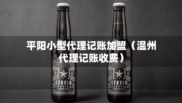 平陽小型代理記賬加盟（溫州代理記賬收費）