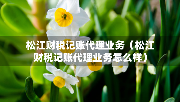 松江財(cái)稅記賬代理業(yè)務(wù)（松江財(cái)稅記賬代理業(yè)務(wù)怎么樣）