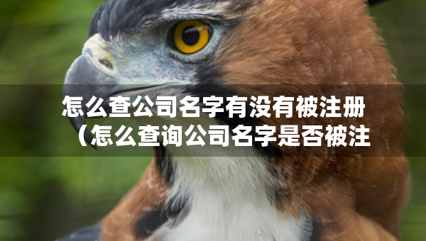 怎么查公司名字有沒(méi)有被注冊(cè)（怎么查詢公司名字是否被注冊(cè)了沒(méi)有）