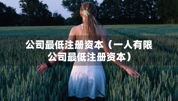 公司最低注冊(cè)資本（一人有限公司最低注冊(cè)資本）