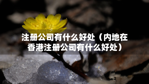 注冊公司有什么好處（內(nèi)地在香港注冊公司有什么好處）