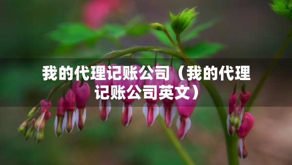 我的代理記賬公司（我的代理記賬公司英文）