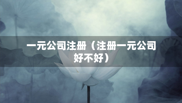 一元公司注冊（注冊一元公司好不好）