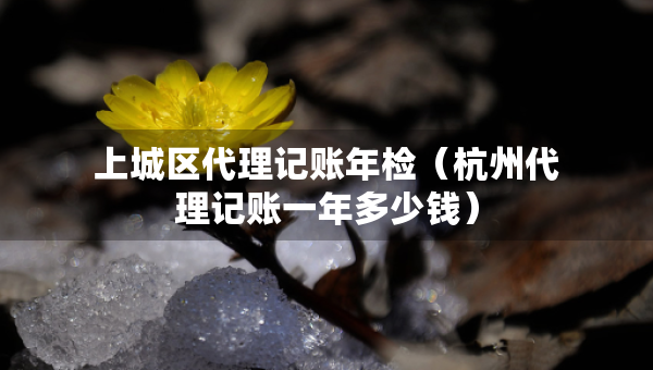上城區(qū)代理記賬年檢（杭州代理記賬一年多少錢）