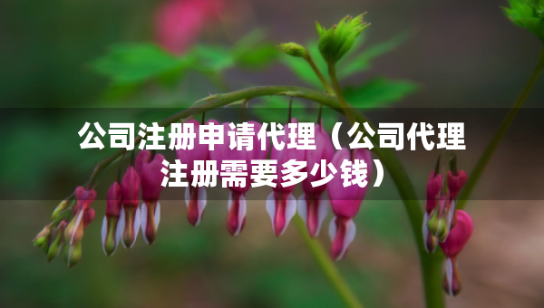 公司注冊申請代理（公司代理注冊需要多少錢）