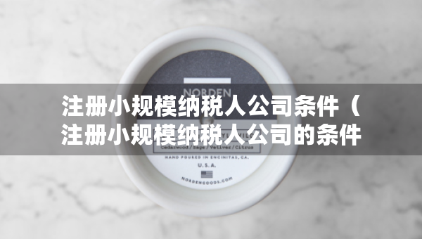 注冊(cè)小規(guī)模納稅人公司條件（注冊(cè)小規(guī)模納稅人公司的條件）