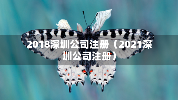 2018深圳公司注冊(cè)（2021深圳公司注冊(cè)）