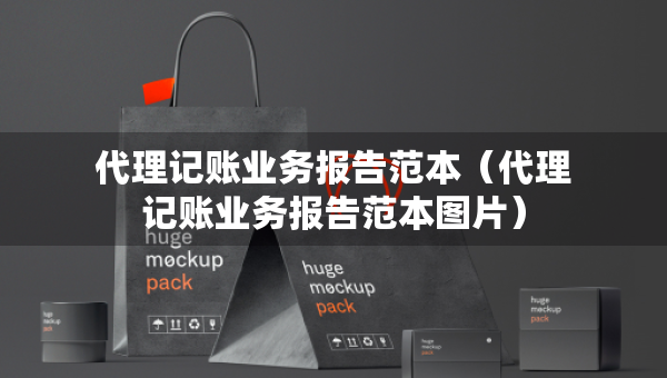 代理記賬業(yè)務(wù)報告范本（代理記賬業(yè)務(wù)報告范本圖片）