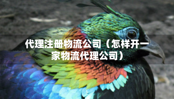 代理注冊物流公司（怎樣開一家物流代理公司）