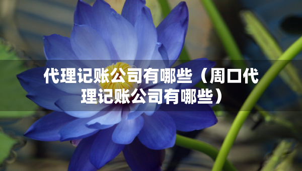 代理記賬公司有哪些（周口代理記賬公司有哪些）